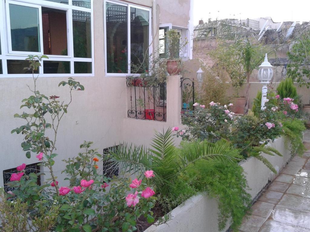 פס Maison Famille Tazi מראה חיצוני תמונה